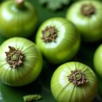 L'oignon vert : un trésor culinaire aux multiples facettes à découvrir absolument